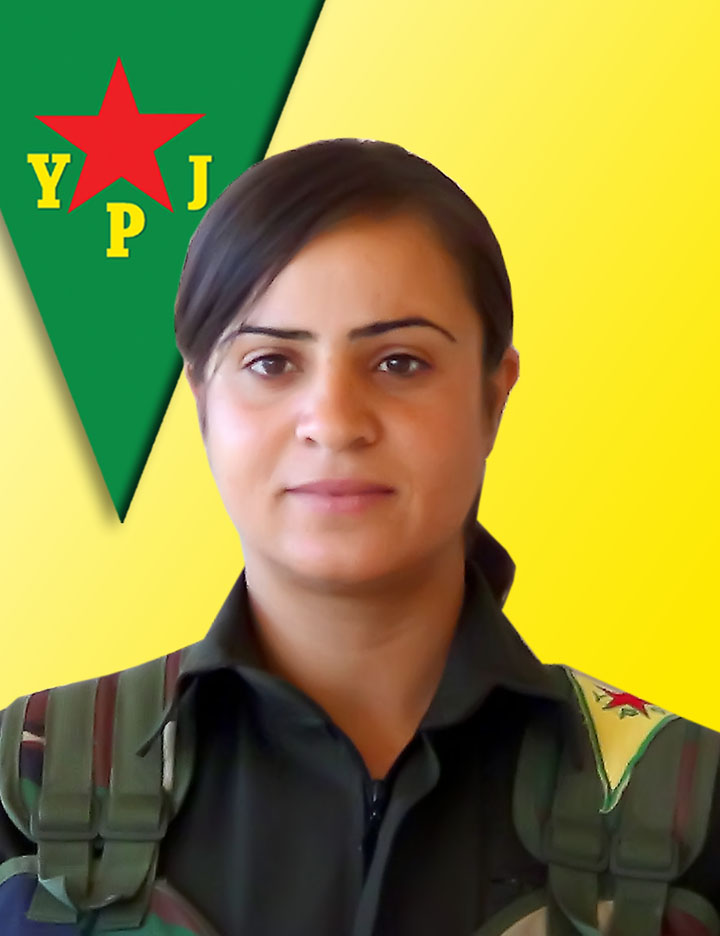 ديدار ولات-بيريفام ممو