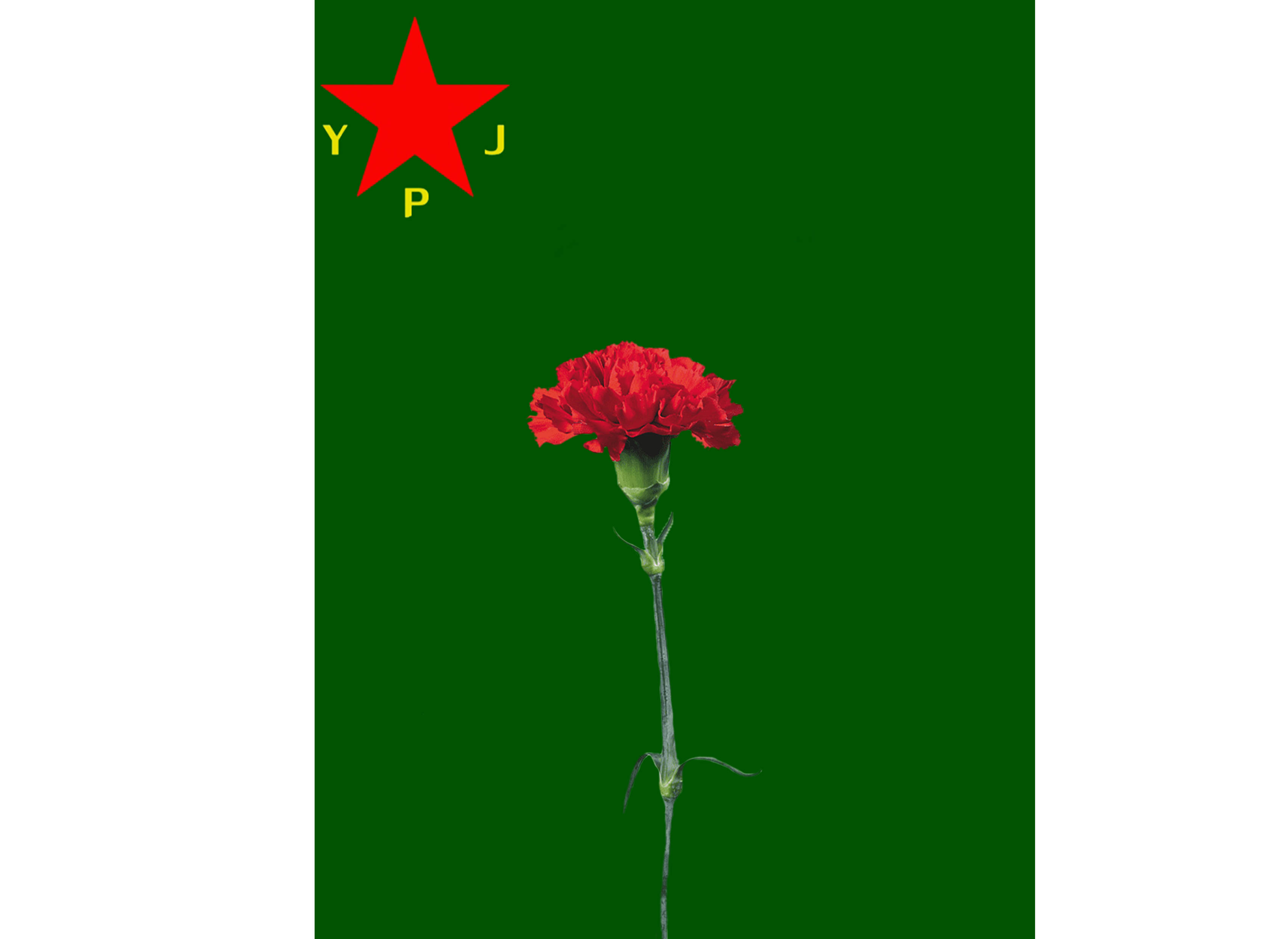 الشهيدة آرين كوباني