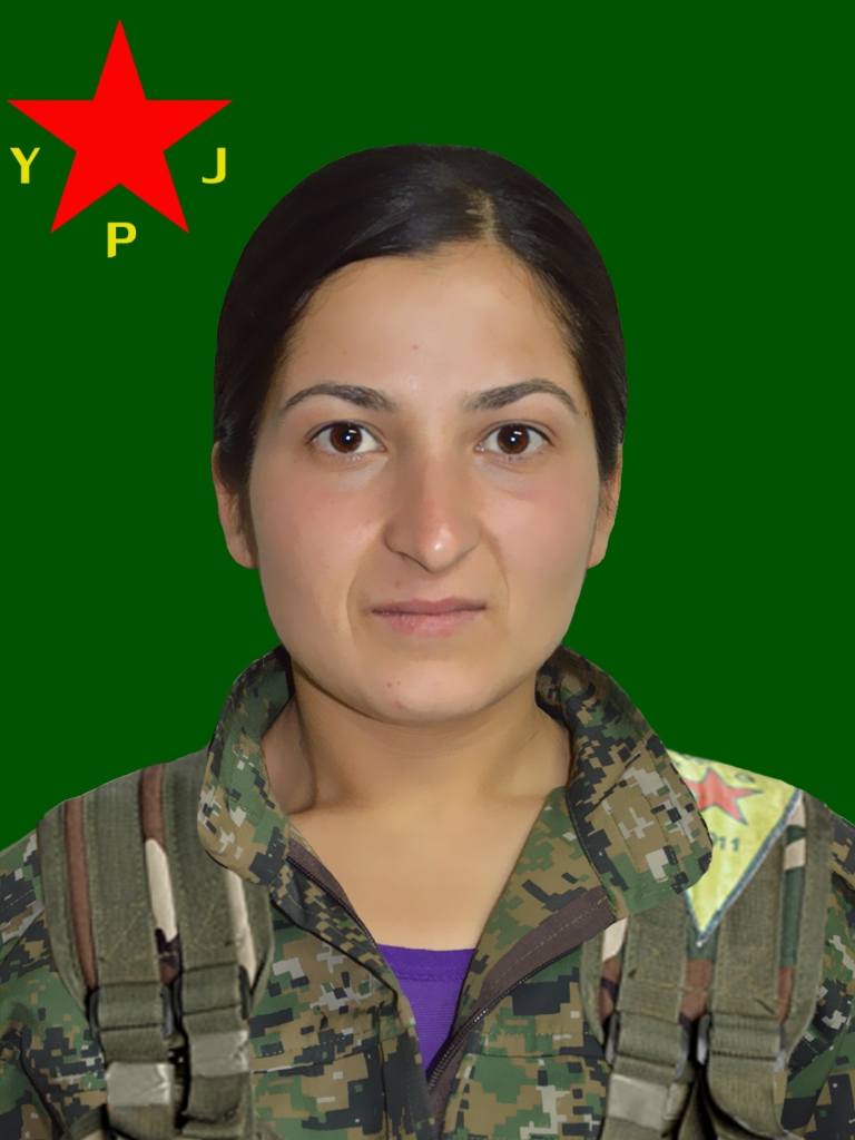 Arin Dersim – Palda Saglam