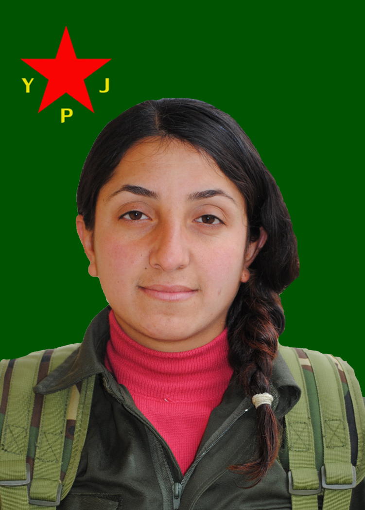 Deniz shorashgar – Azar Bayar
