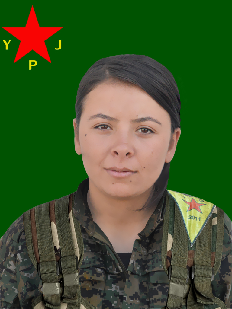 Garilla Tolhildan – Heveen Bozan
