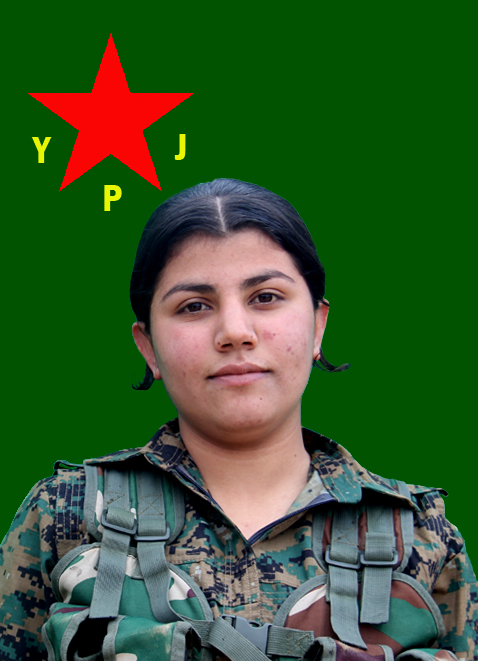 Gulbihar Zagros – Aria Omar