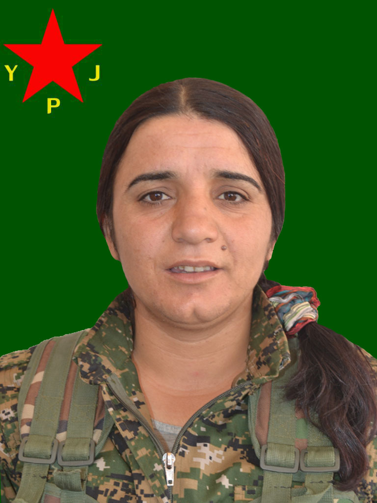 Jian Amad – Aysal Gundogdu
