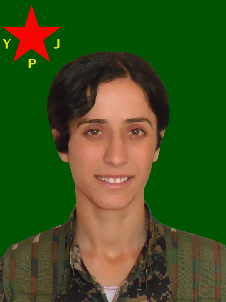 Mizgeen Ronahi – Amina Kachalanlu