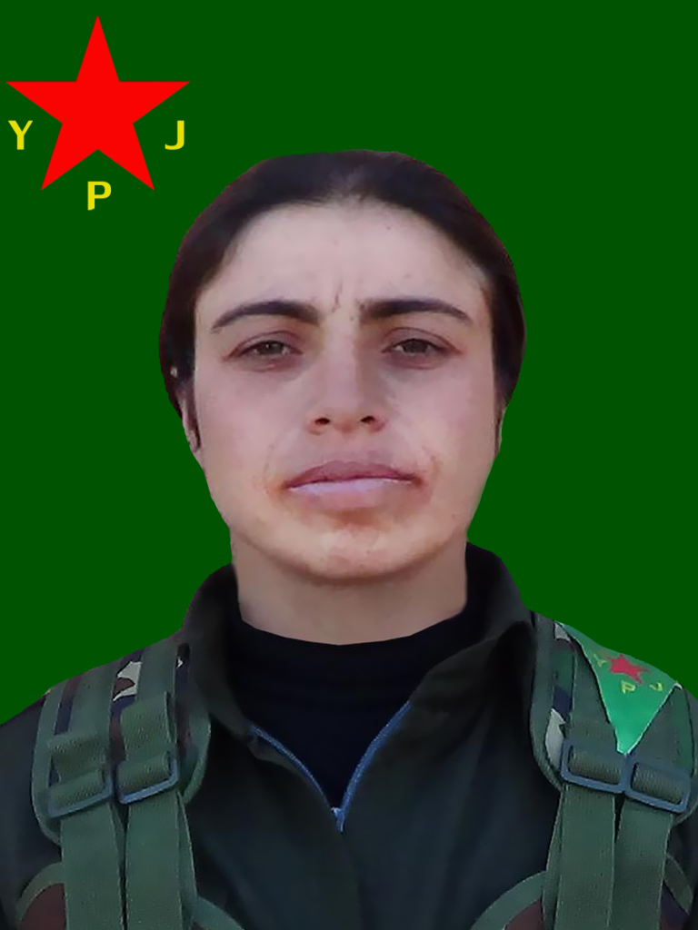 Ronahi Gap – Gulshan Dorgut