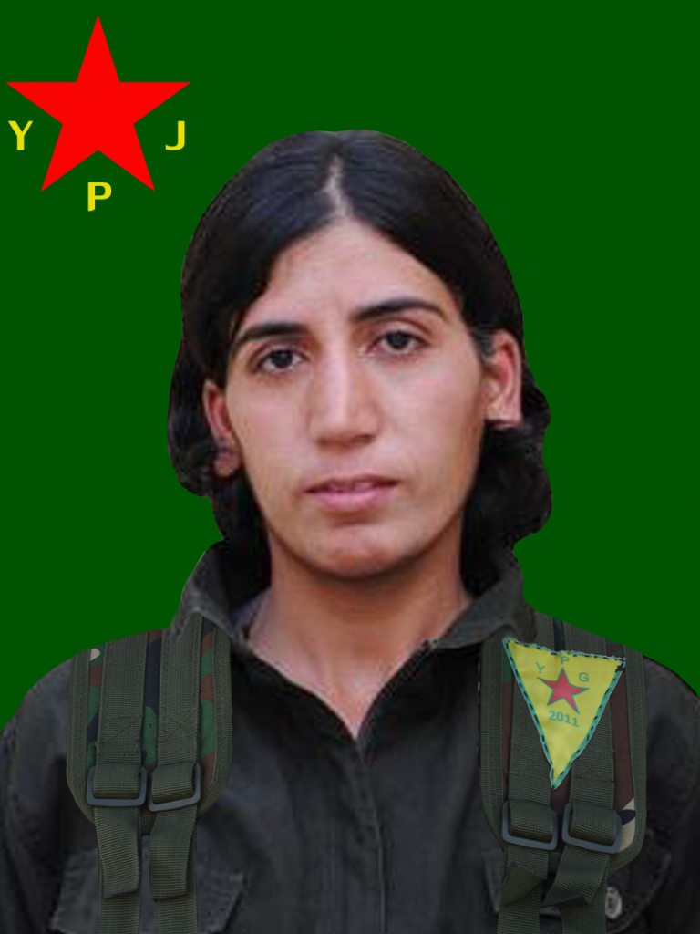 Roza Chia -Gulsum Rashidi