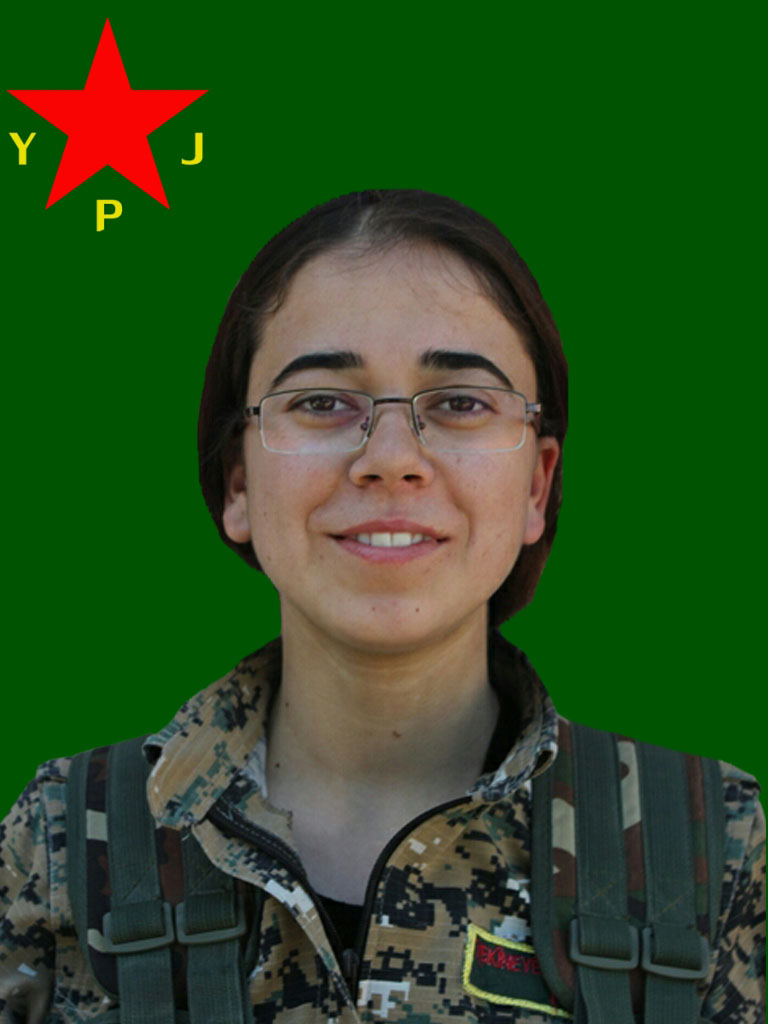 Saria Ronahi – Abro Dogu