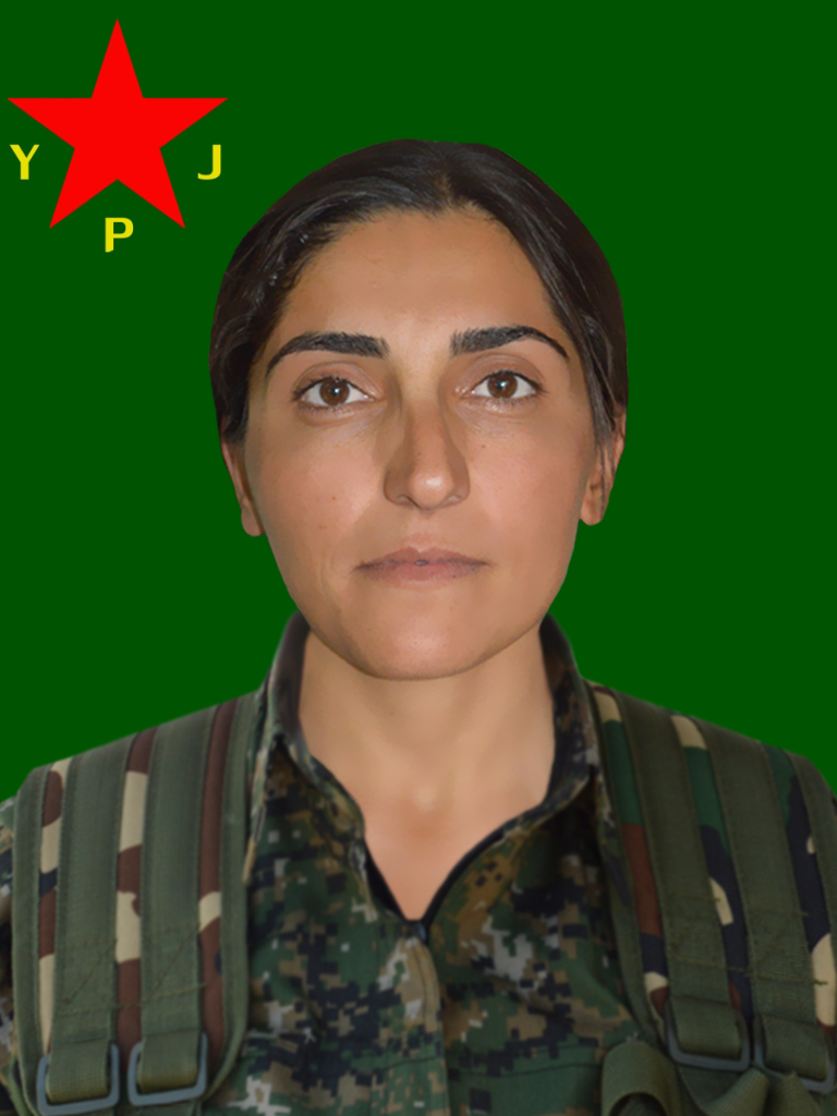 Saria Ozgur – Sibal Bulut