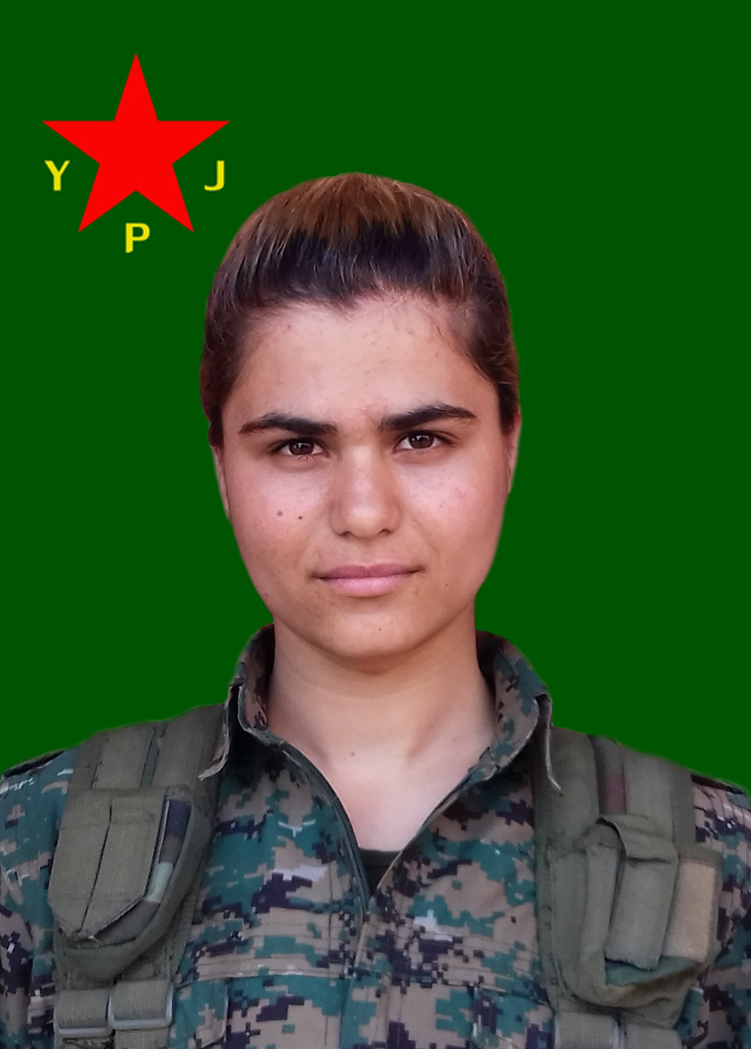 Zaryan Judi – Rojna Shwani