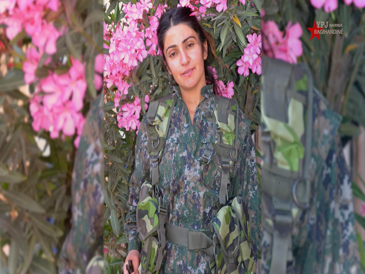 Portrait of Martyr Deniz Media