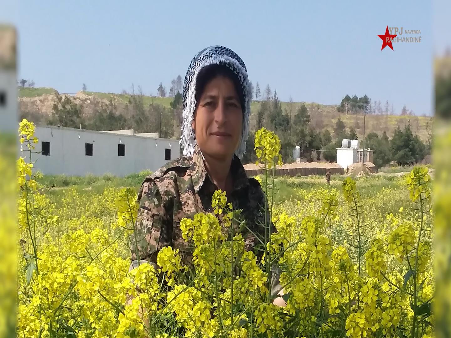 Portrait of Martyr Sosin Bîrhat