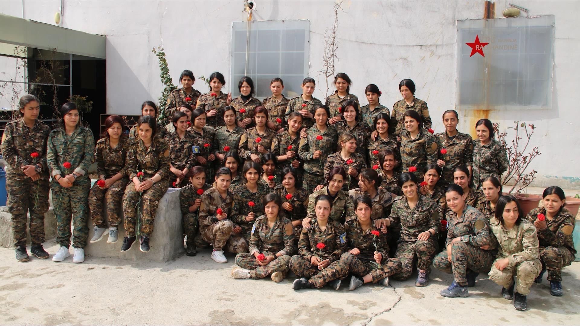 Love of Life-YPJ