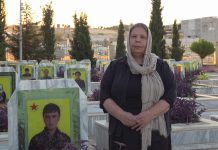 On July 19, a revolutionary named Adla Bakir visited the Martyr Dicle Cemetery with great respect and affection.