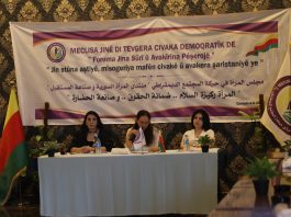 The Role of Syrian Women in the Constitution and the Protection of Their Rights Discussed at the Women’s Council Forum