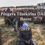 Dokumantera 4. Salvegera Baxozê