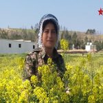 Portreya Şehîd Sosin Bîrhat