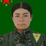 Ji Bo Bîranîna Salvegera Şahadeta Şehîd Rojda Efrîn