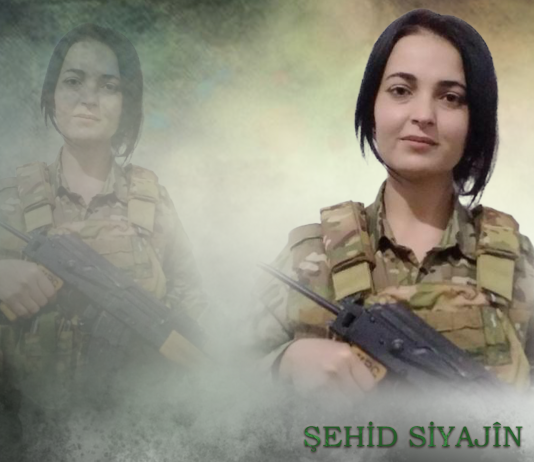 ŞEHÎD SÎYAJÎN