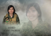 ŞEHÎD AGIRÎ ZAGROS