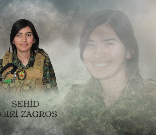 ŞEHÎD AGIRÎ ZAGROS