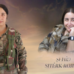 ŞEHÎD STERK ROJHAT