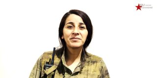 Peyama ji Fermandara YPJ’ê Deniz Derya ji bo gelê diasporayê