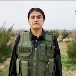 Rohilat Efrîn ji bo gelê Başûr peyamek şand: Dengê Kurdan bû yek