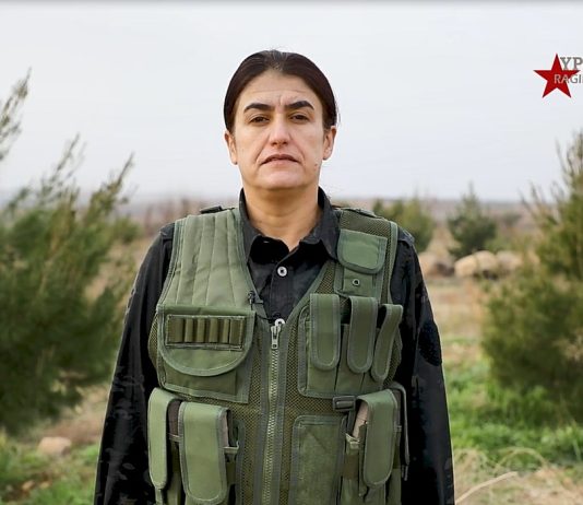 Rohilat Efrîn ji bo gelê Başûr peyamek şand: Dengê Kurdan bû yek