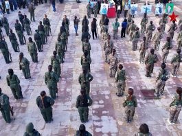 Şehîd Şîlan Kobanê Bi Merasîmekê Hate Oxirkirin