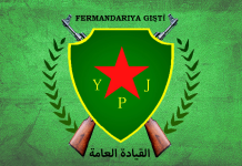 Ji Raya Giştî û Gelê Me Re