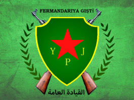 Ji Bo Bidestxistina Azadiyê; Em Bi Israr û Bi Biryar in