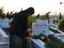 Li bajare Qamişlo û Dêrikê bi boneya Roja Şehîdan mûm hatin vêxistin