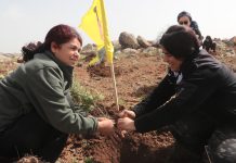 YPJ li Kobaniyê salvegera 13emîn a damezrandina YPJ`ê û jidayikbûna Rêber Abdullah Ocalan pîroz kirin