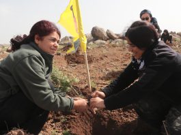 YPJ li Kobaniyê salvegera 13emîn a damezrandina YPJ`ê û jidayikbûna Rêber Abdullah Ocalan pîroz kirin