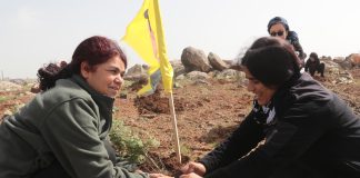 YPJ li Kobaniyê salvegera 13emîn a damezrandina YPJ`ê û jidayikbûna Rêber Abdullah Ocalan pîroz kirin