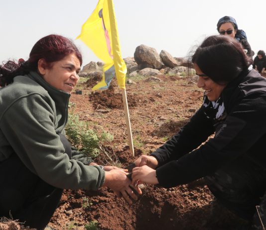 YPJ li Kobaniyê salvegera 13emîn a damezrandina YPJ`ê û jidayikbûna Rêber Abdullah Ocalan pîroz kirin