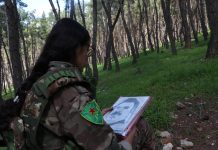 Ji Jidayikbûna Rêbertiyê Ber bi Şoreşa Jinê ve