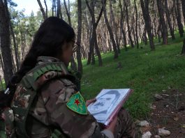 Ji Jidayikbûna Rêbertiyê Ber bi Şoreşa Jinê ve