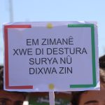 Bi hezaran kes ji bo mafê ziman meşiyan
