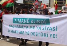 Meşa girseyî ya ku li bajarê Qamişloyê bi boneya Roja Zimanê Kurdî hat li darxistin