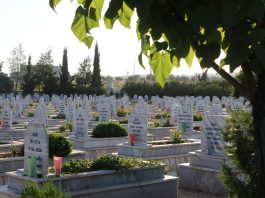 Gelê Rojava serdana pakrewangehên Şehîdan kirin a li bajare Kobane.