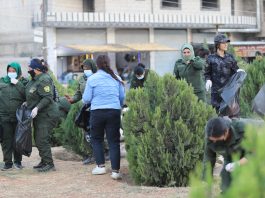 Kampanyaya paqijiyê ya dilxwazî ji aliyê şervanên Yekîneyên Parastina Jinê û Hêzên Ewlekariya Hundirîn ve li dorhêla dewar Şehîd Arîn Mîrkan li Kobanê