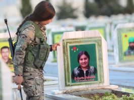 Şehadet ew ronahiya rê û sedema berdewamiyê ye